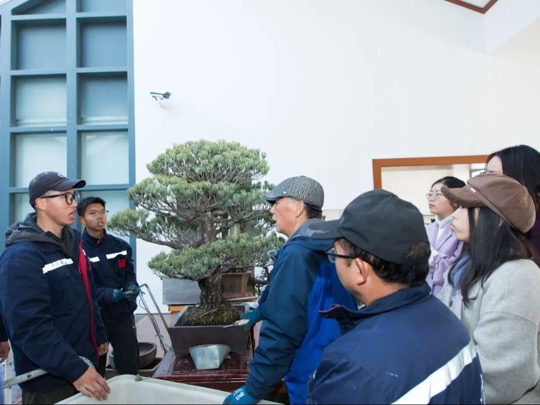 最常見的電腦故障及其解決辦法，不求人自己就能修復